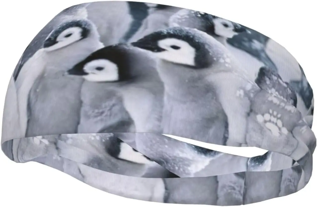 

Cute Penguin1 Print Stylish Sports Sweatband Stretchy Breathable and Moisture Wicking Headband for Gym