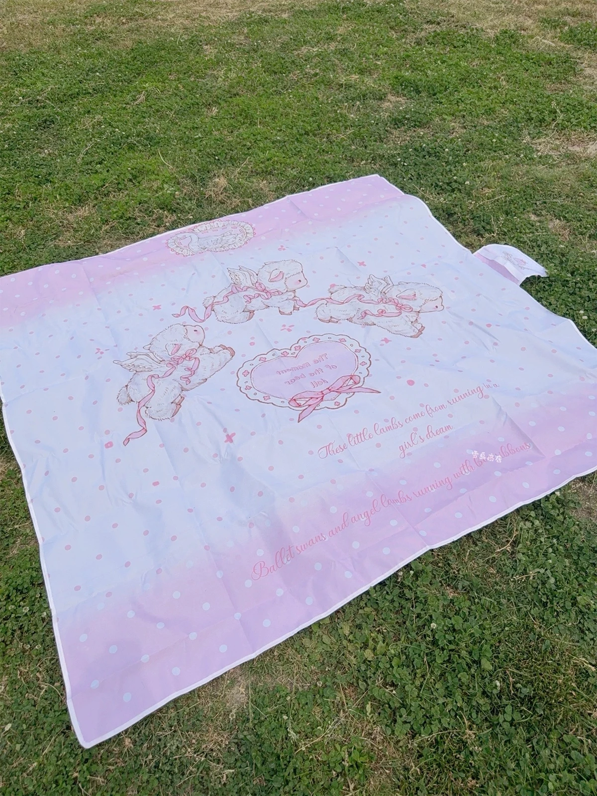 New Spring Genuine Pink Picnic Mat Girl Anime Peripheral Outdoor Waterproof Beach Protection Against Tide Portable Placemat