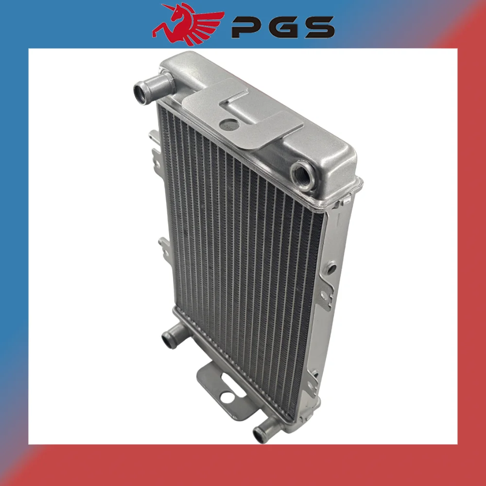 Water Tank Radiator For Buyang FEISHEN FA-D300 H300 Quad Bike 2.6.01.0031 LN001558 view 5