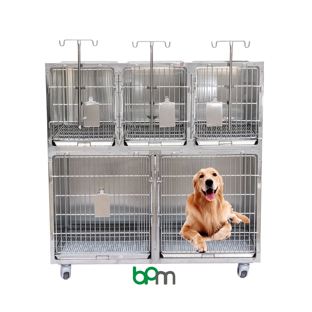 BPM-HC5V Pet Store Large Space Clinics Cat for Vet Animal Dog Hospitalization Cages