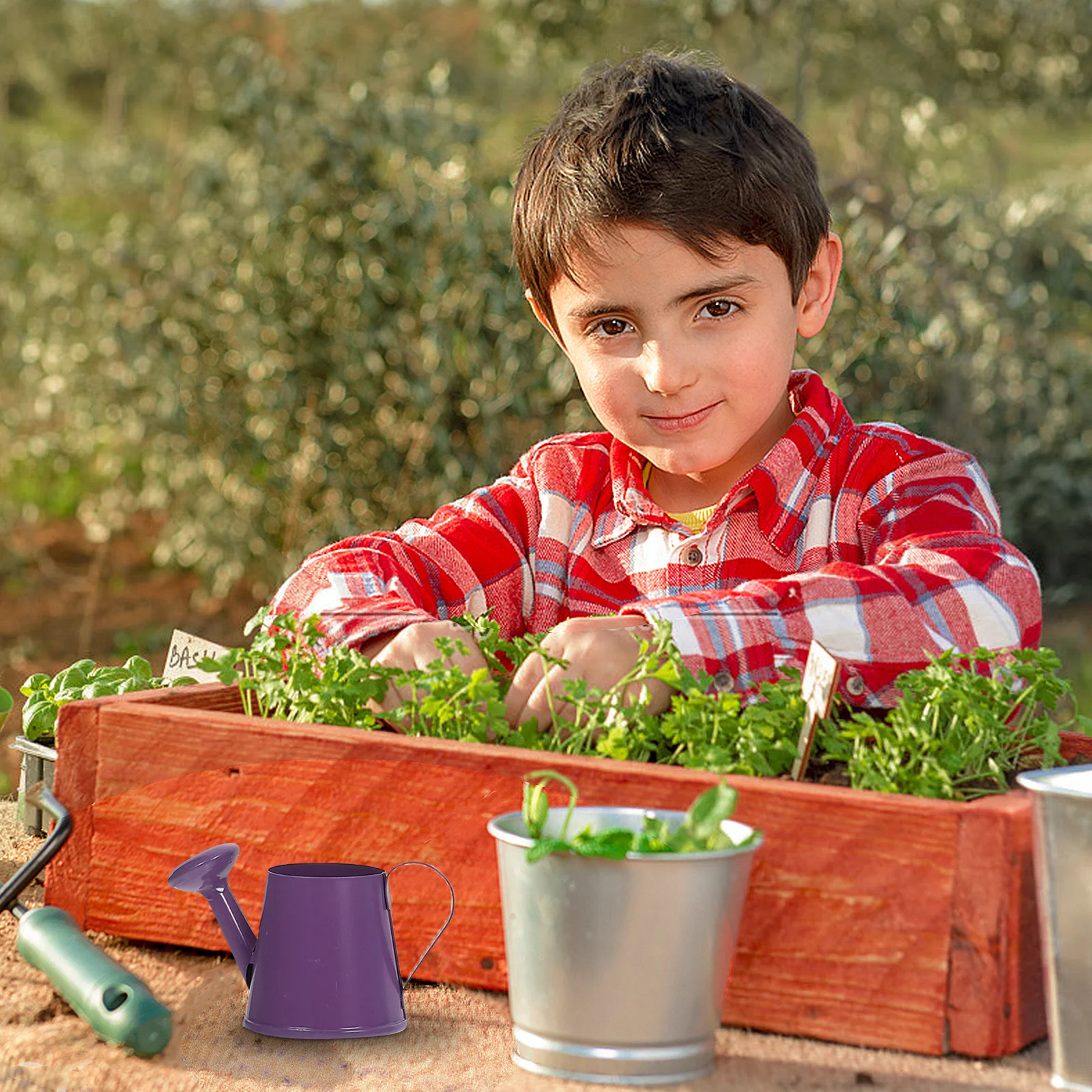 

4pcs Mini Watering Can Metal Small Iron Bucket For Garden Plants Outdoor Indoor Flower Care Bonsai Teaching Tool Portable