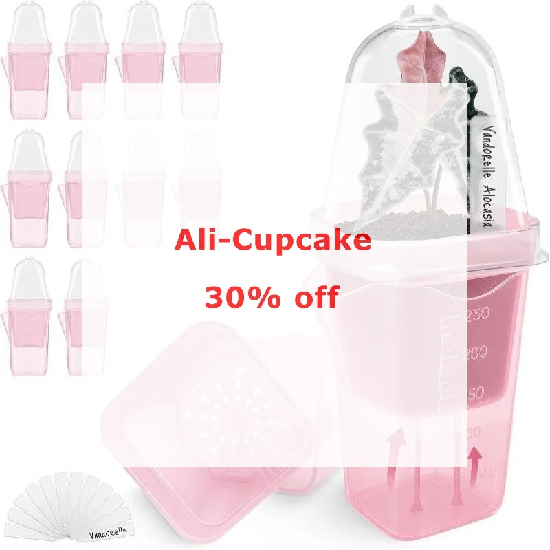 Transparent Pink Self Watering Pots Self Watering Planter Drainage Holes Plant Pots Garden Seedlings Flowerpot Nursery Cups