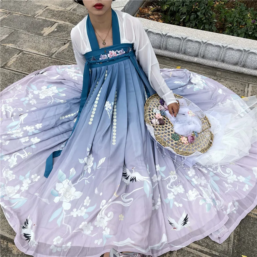 Chinese Hanfu Dresses for Women Vintage Tang Suit Girl Noble Princess Costume Folk Dance Traditional Acient Chinese Costume