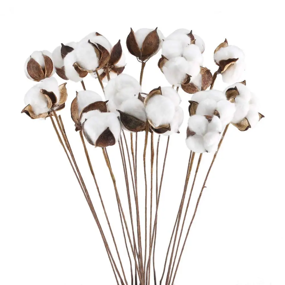 20pcs Cotton Flowers,Dried Cotton Picks Stalks Plants, Artificial Cotton Floral Stems Farmhouse Decorations for Vase Home Decor