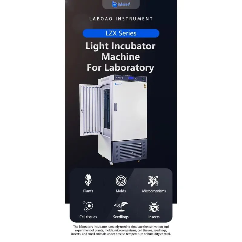 Stainless Steel Light Incubator with 0-65 Temperature Control for Laboratory