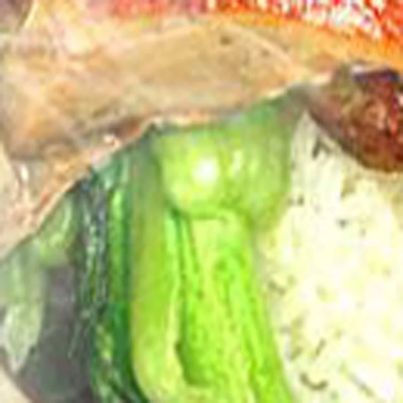 

New Condition Electric Meat Grinder Stainless Steel Beef Sausage Stuffer Mincer Mixer and Frozen Meat Processor