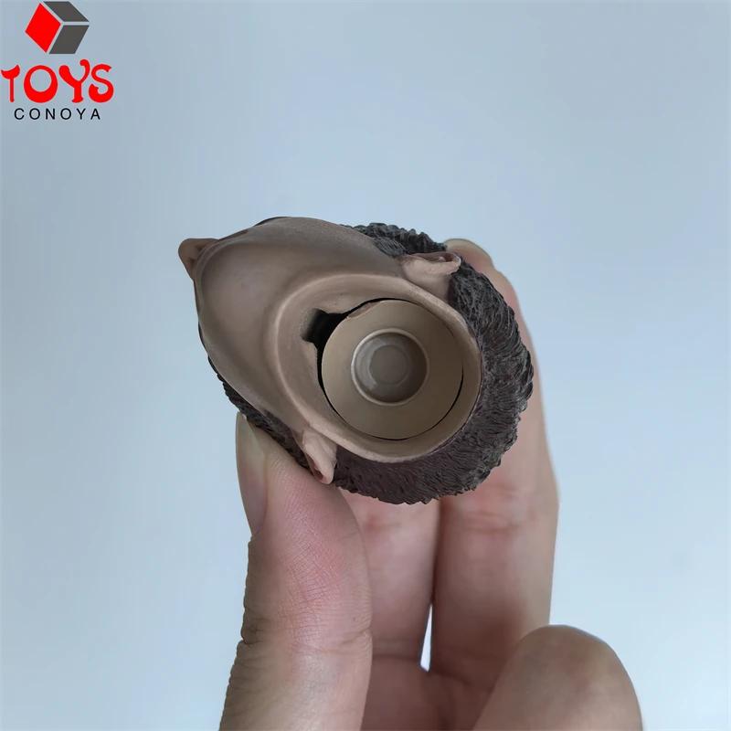 1/6 Schaal Heilige Monnik Met Haar Head Sculpt Carving Model Fit 12 "Melijke Soldaat Action Figure Body Poppen