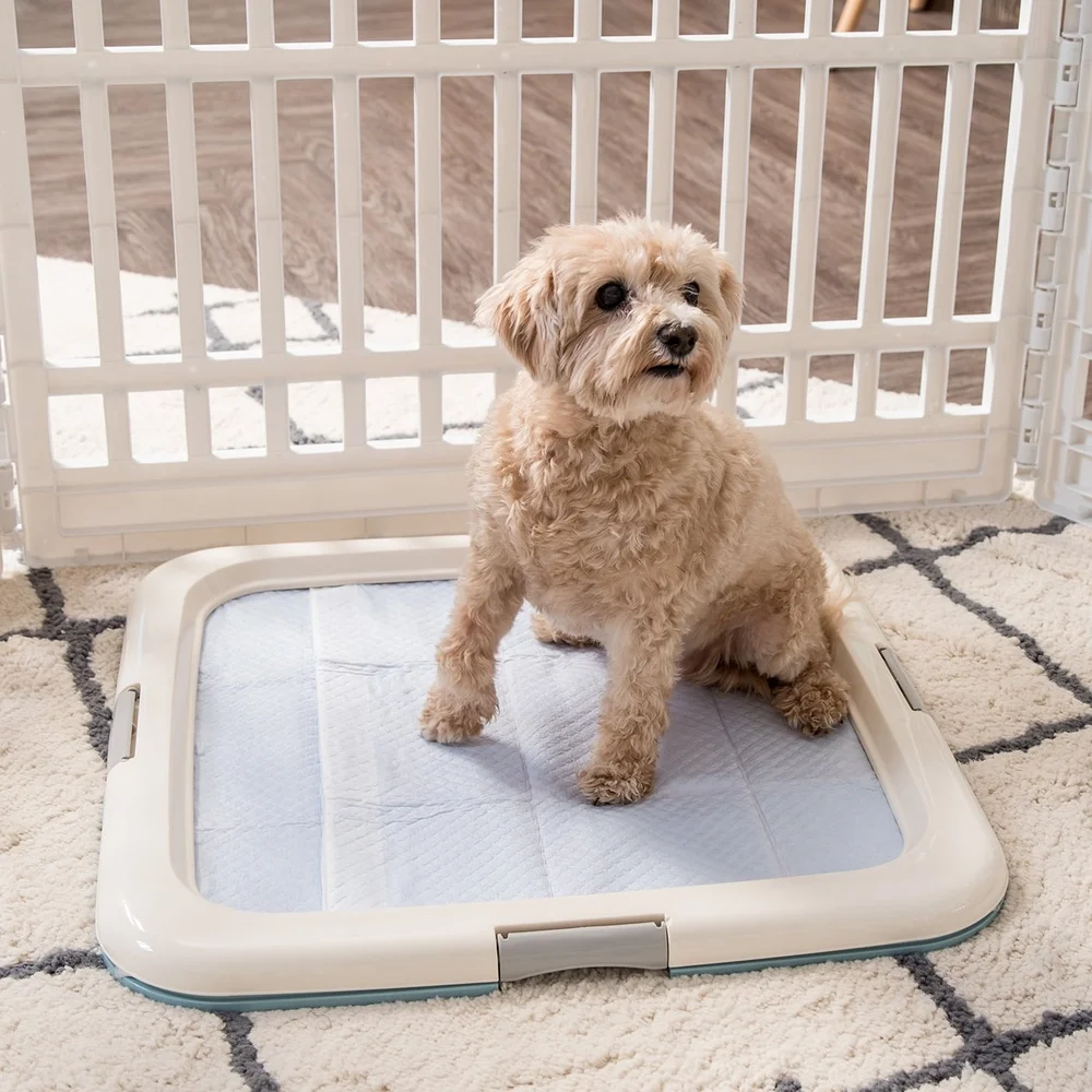 Dog Potty Training Pad Holder Non-Skid Tray Easy Clean High Polish Finish Secure Latches Protect Floors All Sizes