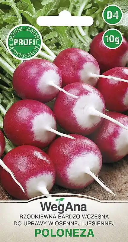 Radish very early Polonaise 10g vegetable vegetable vegetable radish seeds VegAna