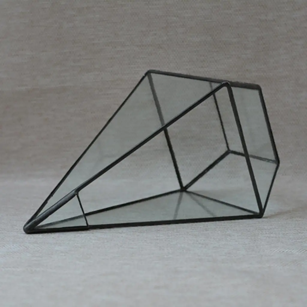 Geometric Terrarium Box Clear Glass Holder Modern Cube for Cacti Fern Moss Tabletop Planter Indoor Decor