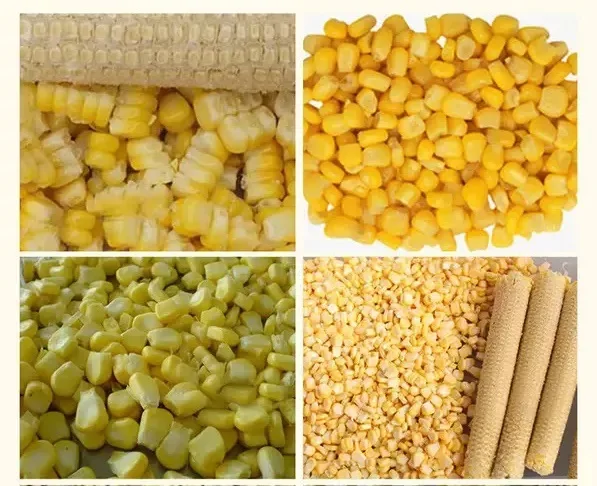 Commercial fresh corn sheller thresher machine sweet maize corn kernel threshing machine wet corn stripping shelling machine