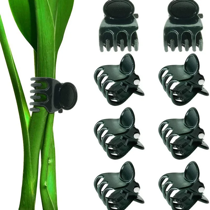 10/20/50/100PCS 6-Claw Plant Support Clips Dark Green Orchid Stem Clamp Vine Flower Branch Fixing Garden Tool ZWLZJ06
