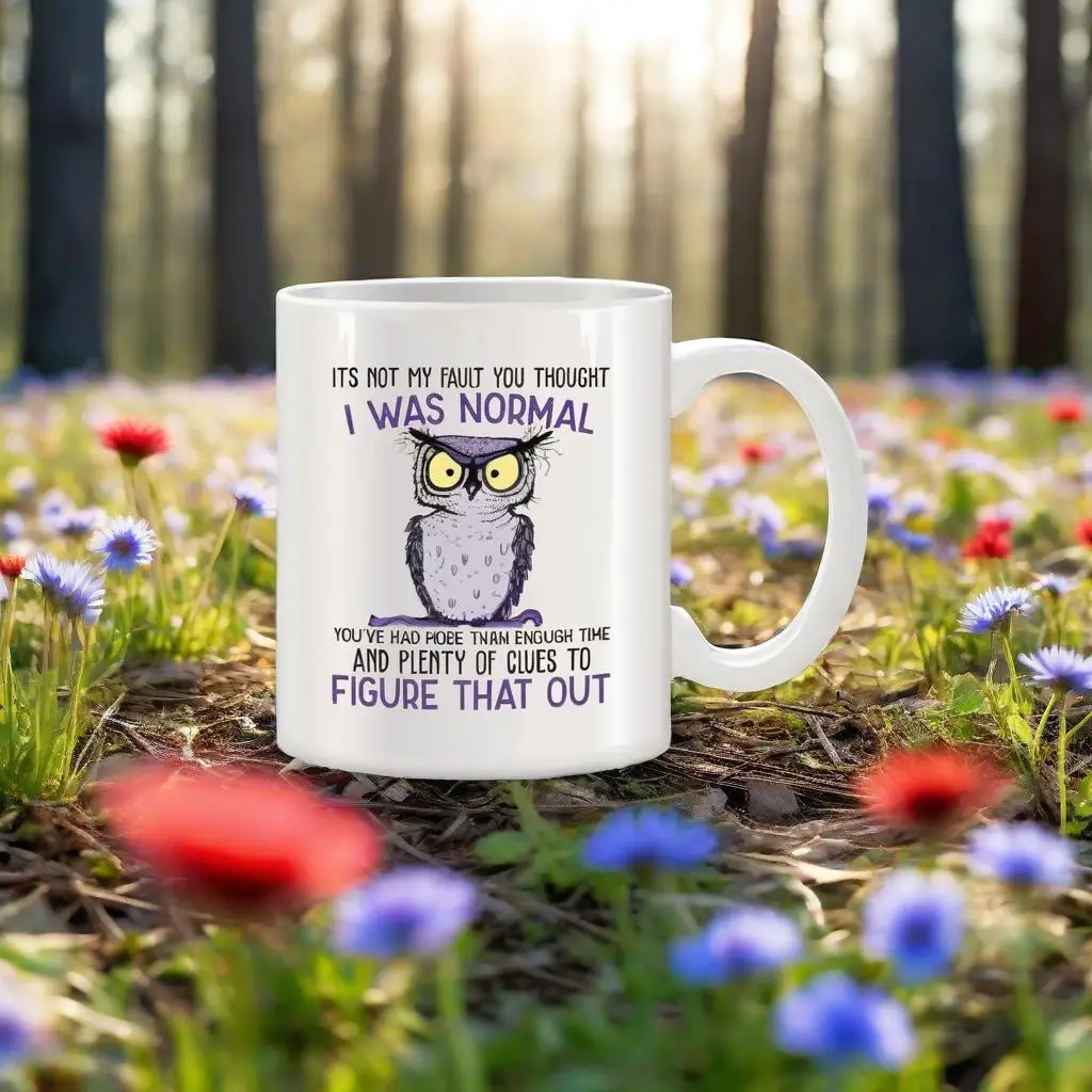 

Mug It's Not My Fault You Thought I Was Normal Owl Mugs For Her Mom Birthday Gifts Novelty Coffee Ceramic Tea Cups White 11 oz