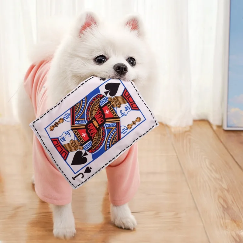 Thumbnail 4 - #65 Best Puppy Chew Toys to Buy In 2026