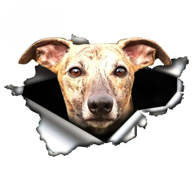 13X8.7Cm Brindle Gr…