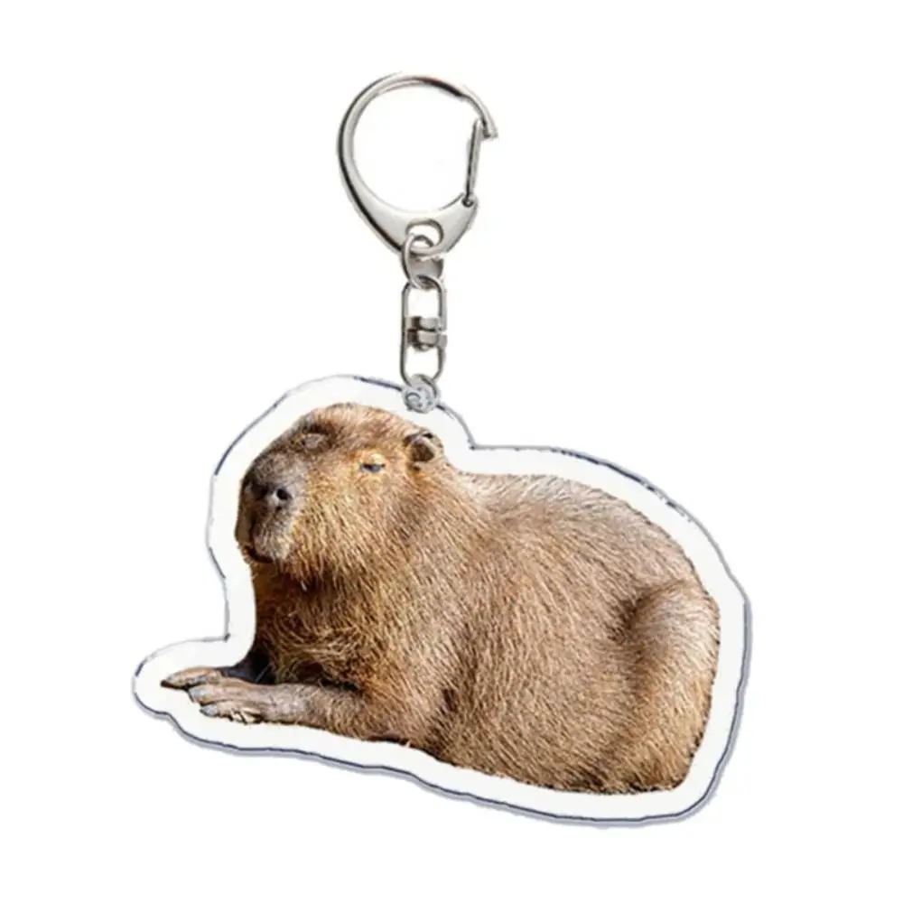 الإبداعية الكرتون كابيبارا كابيبارا المفاتيح الاكريليك لطيف الحيوان كابيبارا Keyrings الراتنج مضحك مفتاح قلادة