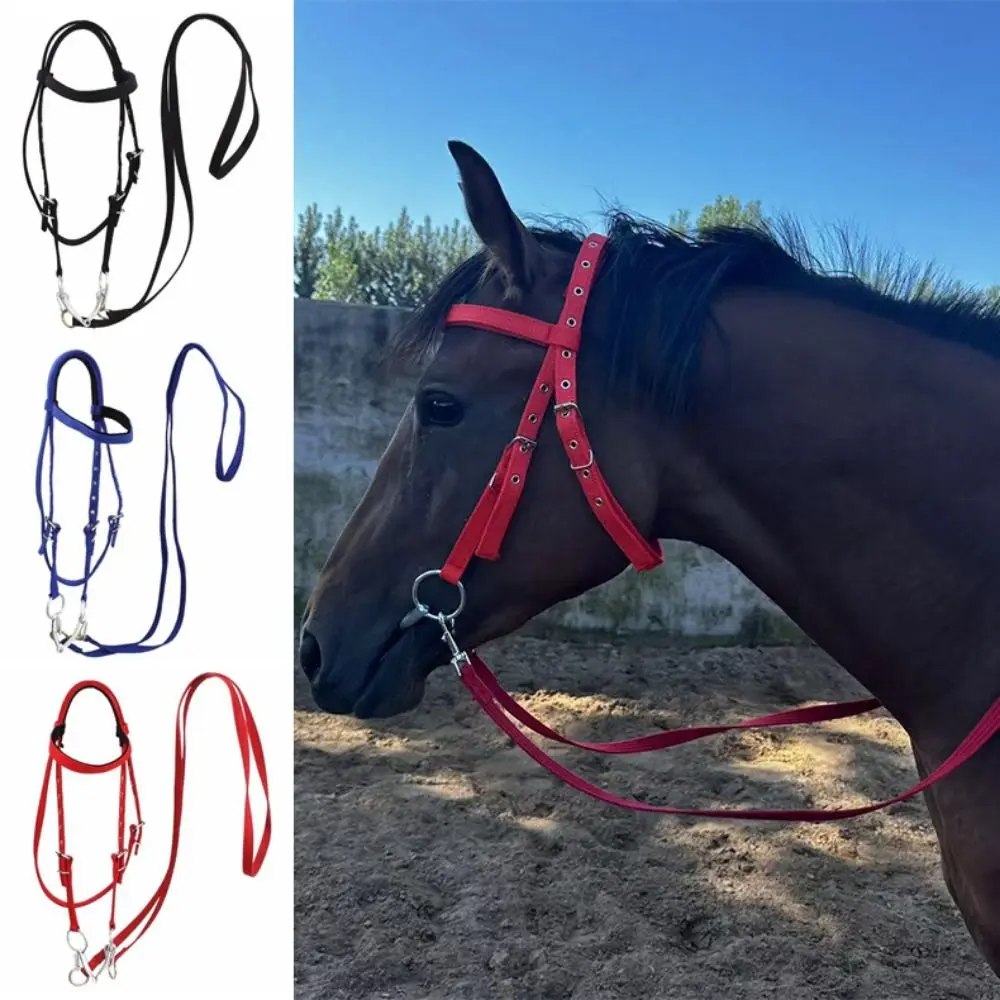 Thickened Horse Halters Adjustable Strap Comfortable Horse Neck Stretcher Heavy Duty Horse Harness Horse Bridle Headband