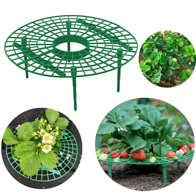 5pcs round Strawberry Support Plant Flower grow Planting Frame Stand Holder Balcony Rack Farming Fruit Climbing Vine Pillar q1