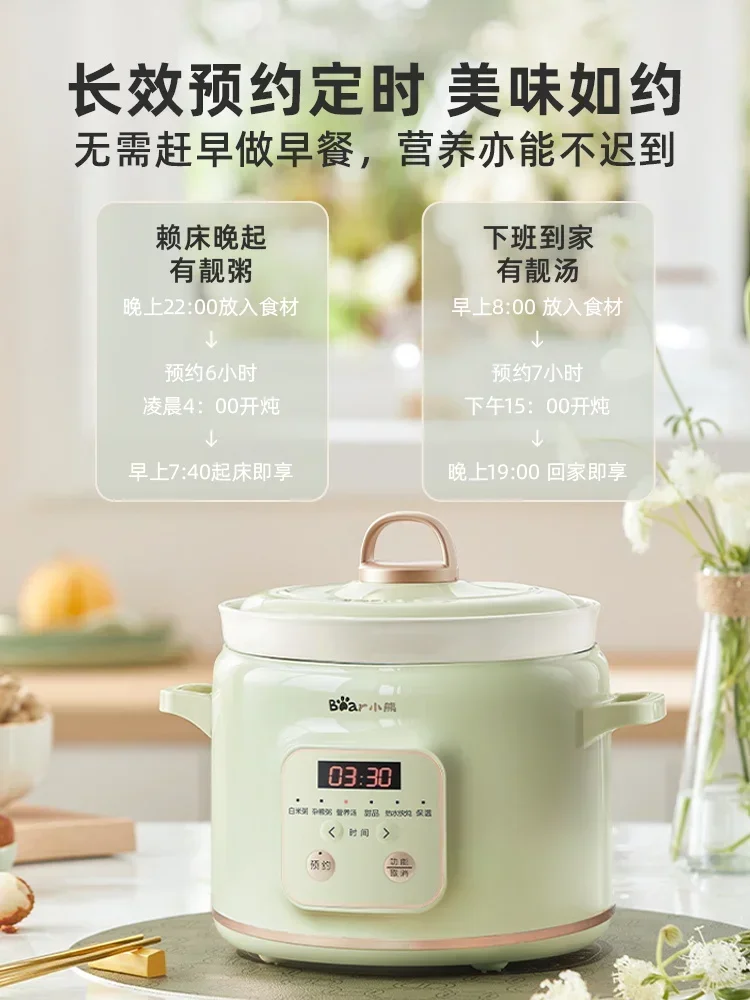 220V Electric Stewpot with Ceramic Material and Soup/Baby Food Cooking Function