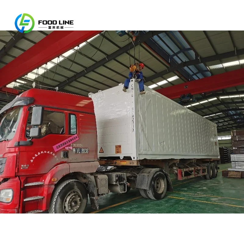 Customized Smart Farm Grow Hydroponic Agricultural Vertical Farming System 40HQ Shipping Container Farm Greenhouse