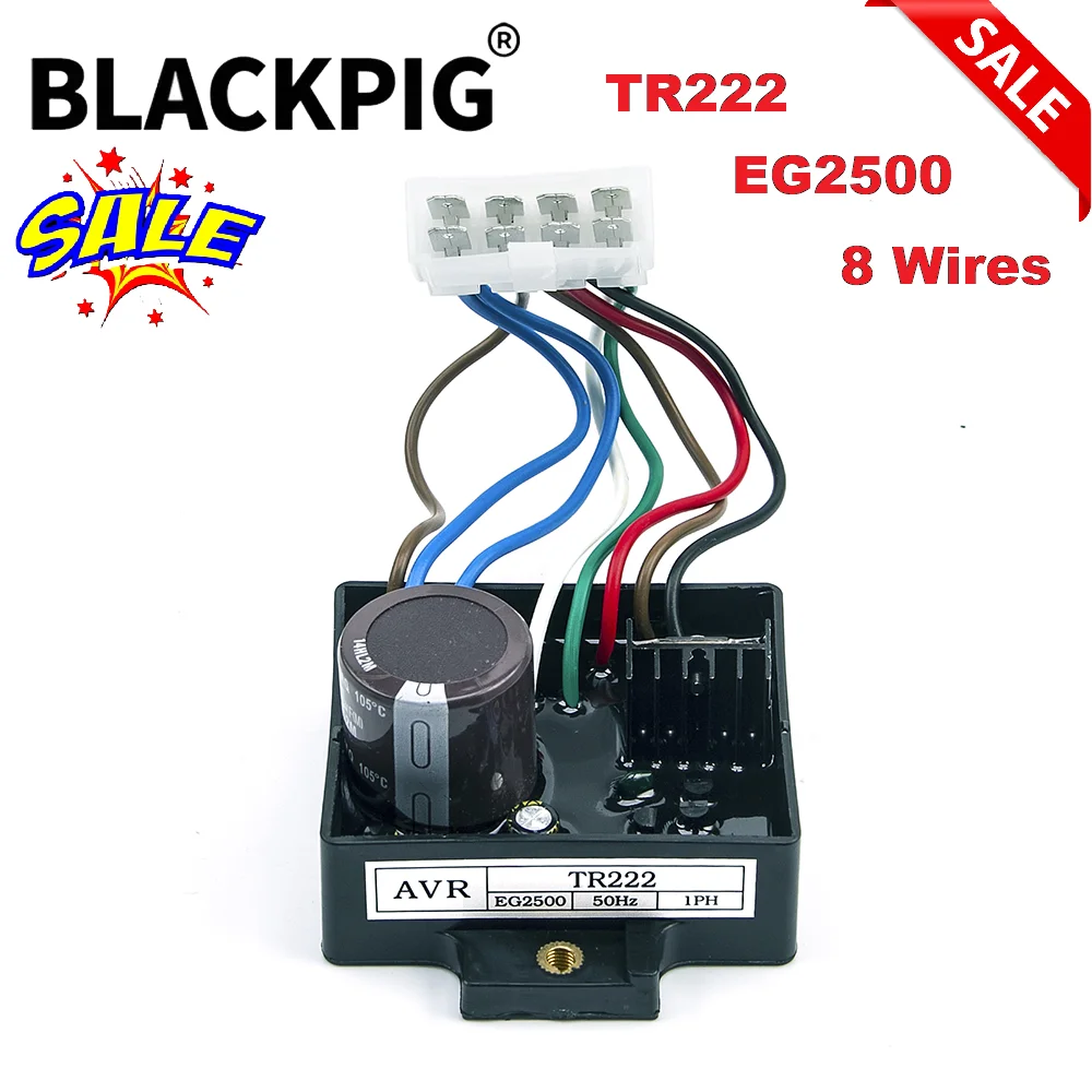 TR222 EG2500 AVR Automatic Vol - Cycloidal Reducer Bldc Motor 评论和价格