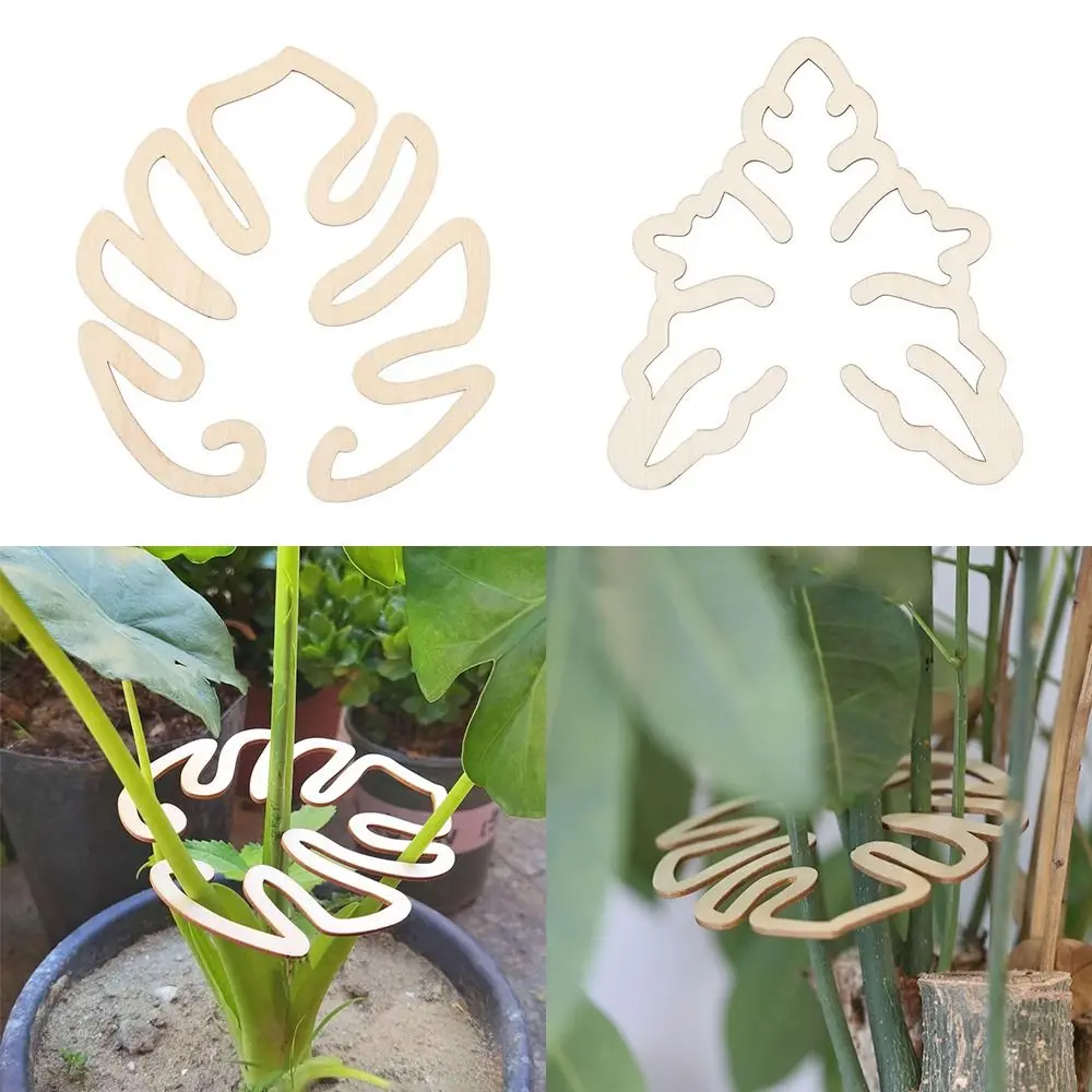 1/2PCS Reusable Turtle Shell Bamboo Clamp Support Branches Garden Tools Wooden Flower Stem Holder Stem Organizer