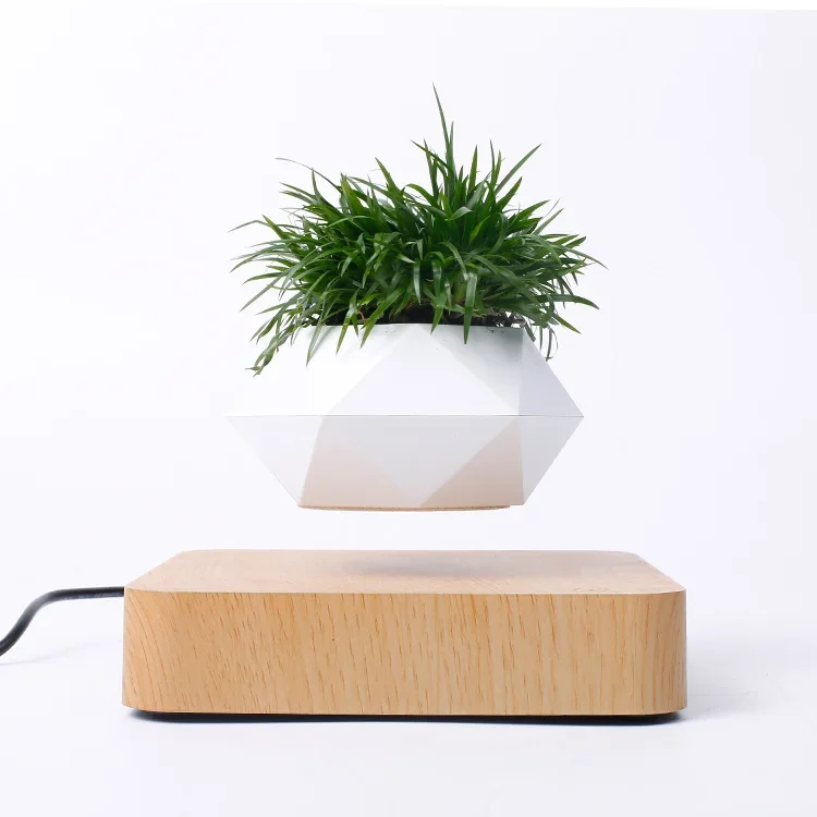 Magnetic levitation potted plant creative suspension ornament