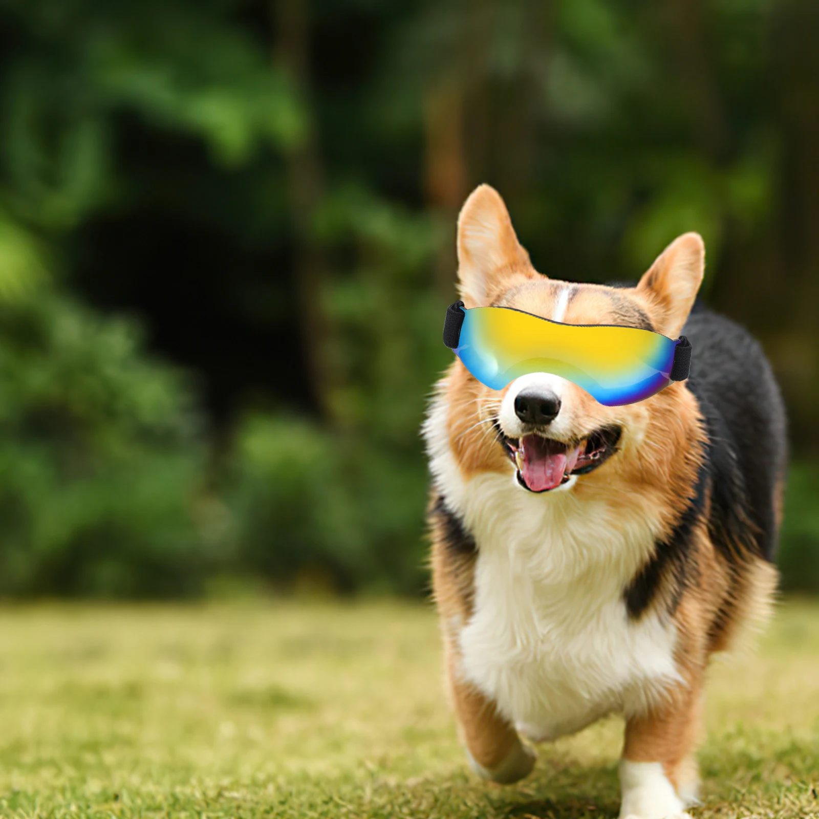 

Dog Sunglasses Small Breed Uv Protection Windproof Dustproof Pet Goggles Outdoor Activity Puppy Photo Prop Party Accessories