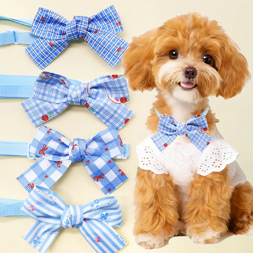 #19 Best Adjustable Pet Collars to Buy In 2026