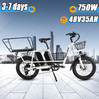PHILODO Traveller Cargo Electric Bike 750W Brushless Motor 48V35Ah Battery Ebike Max Range 120Km 20*3\