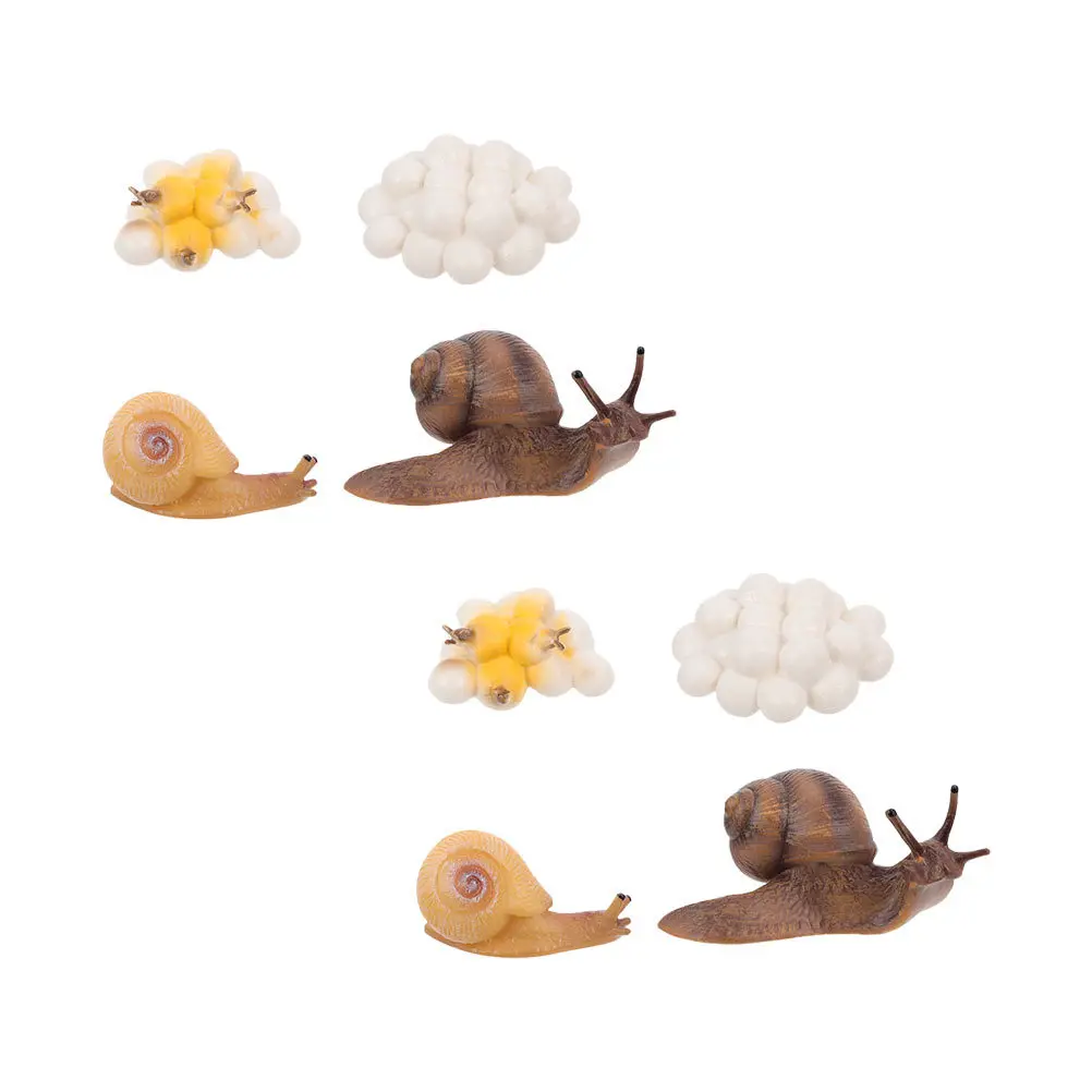 2 juegos de decoración del ciclo de crecimiento de caracol, adorno educativo del ciclo de vida para niños, juguete de desarrollo cognitivo, figuras de animales
