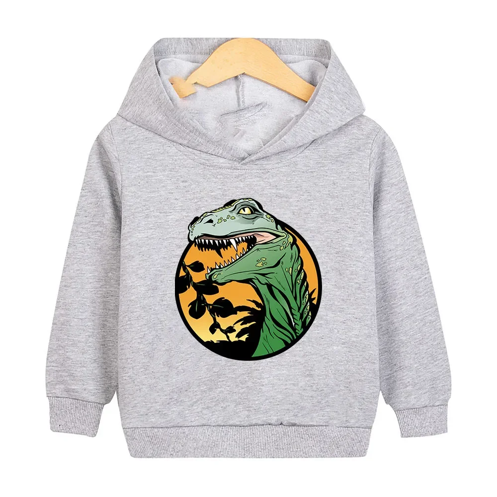 Dinosaur handsome clothes children hooded hoodie spring and autumn boys long-sleeved casual shirt in children fashion coat