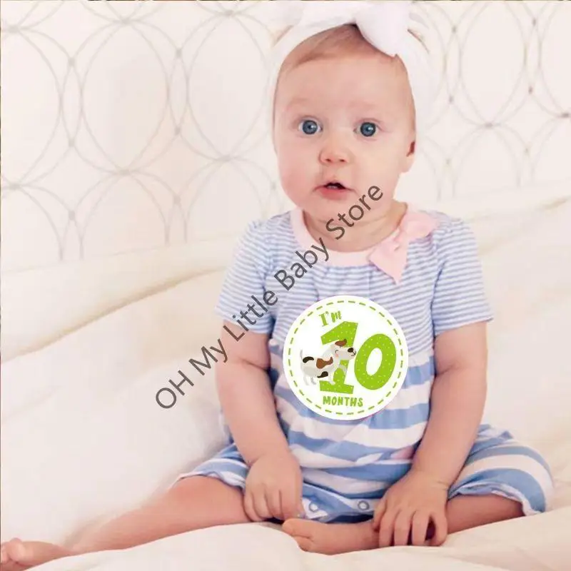 

M76C Месяц наклейки для мальчика для мальчиков животные набор печати из 12 унисекс красочные карты