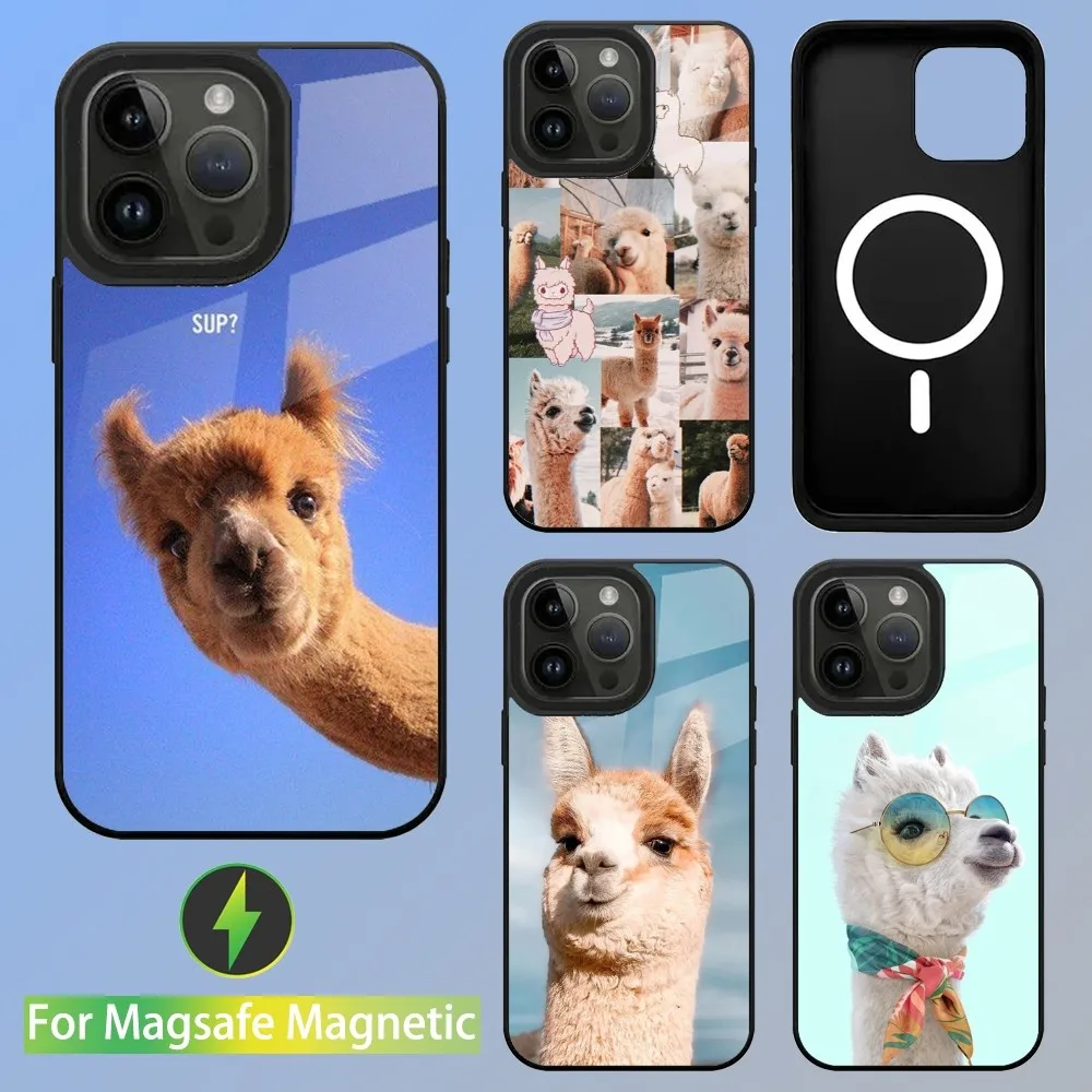 Lama Llama Alpaca Phone Case For iPhone 15,14,13,12,11,Plus,Pro,Max Mini Magsafe Magnetic Wireless Charging