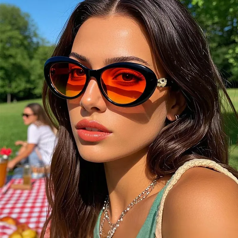 New Oval Frame Fashion Glasses for Women Trendy Colorful Frame Shades