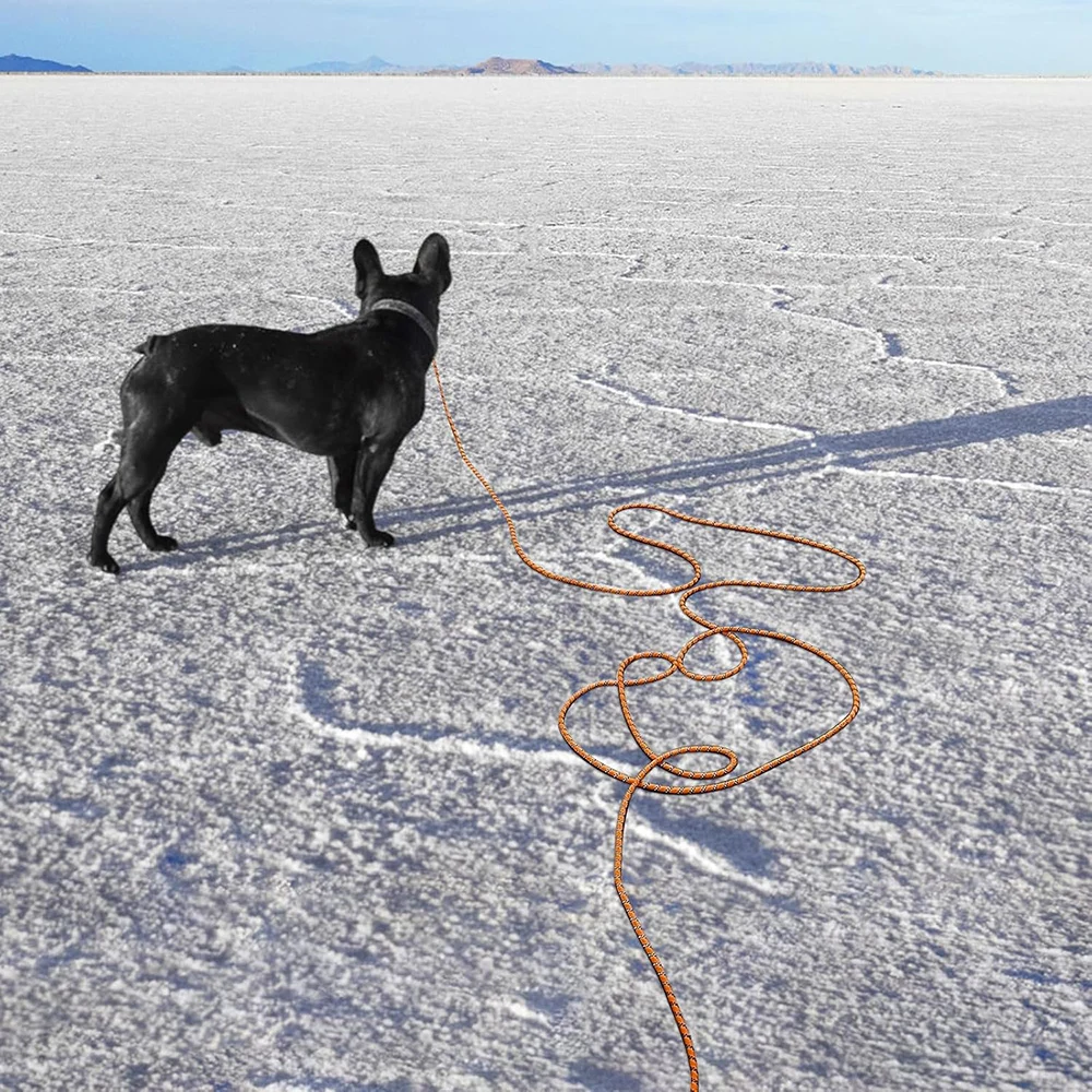 Long Dog Training Lead With Padded Handle For Walking And Training_voghion.com