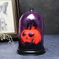 Cat l