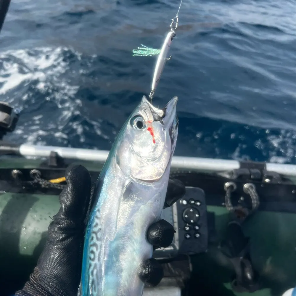 Señuelo Jig Swimbait con cubierta láser para lucio de mar - imagen 4
