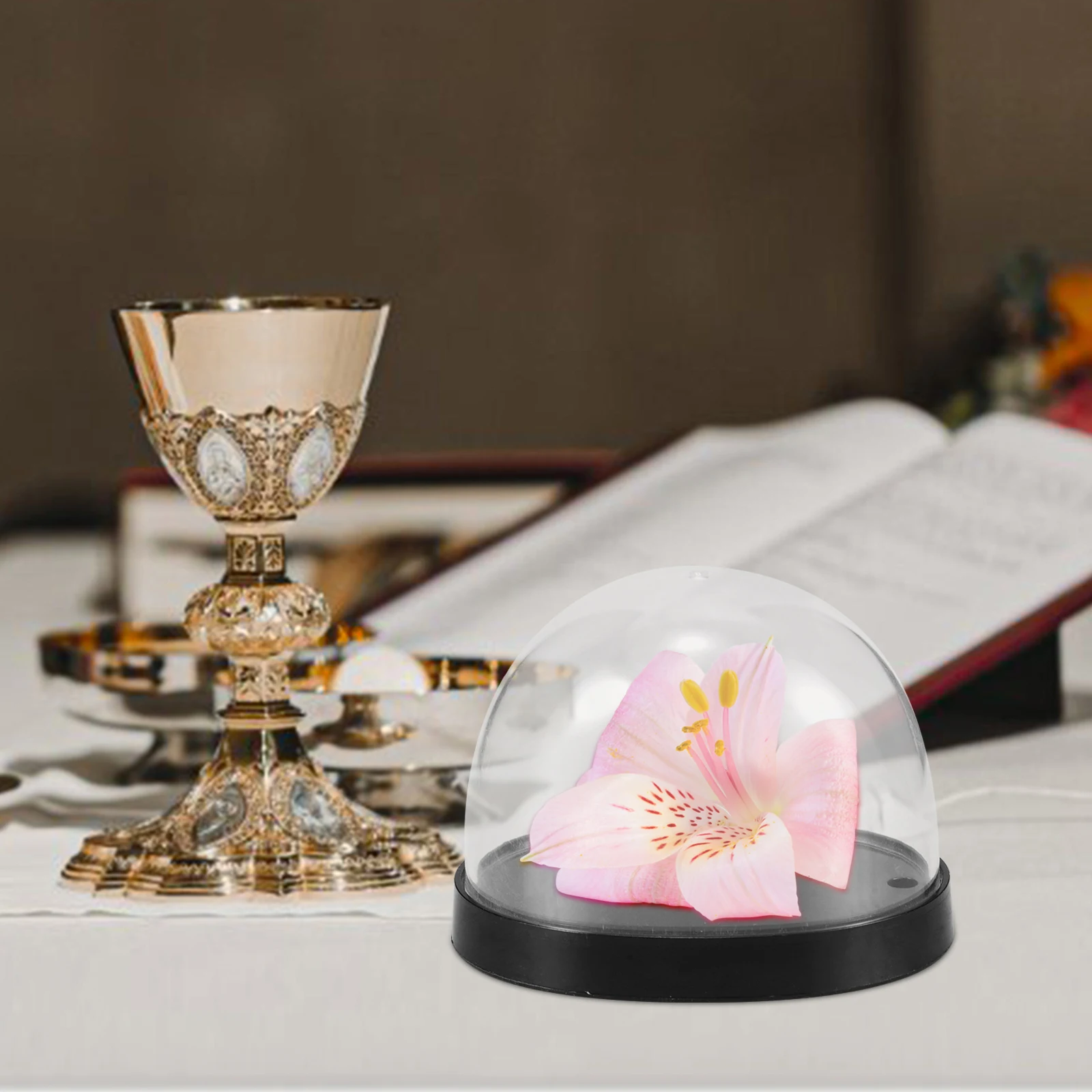 

5 set Glass Cloche Dome Transparent Plastic Display Case For Vase Flowers Mini Showcase Home Decor Dried Flower Globe Tabletop