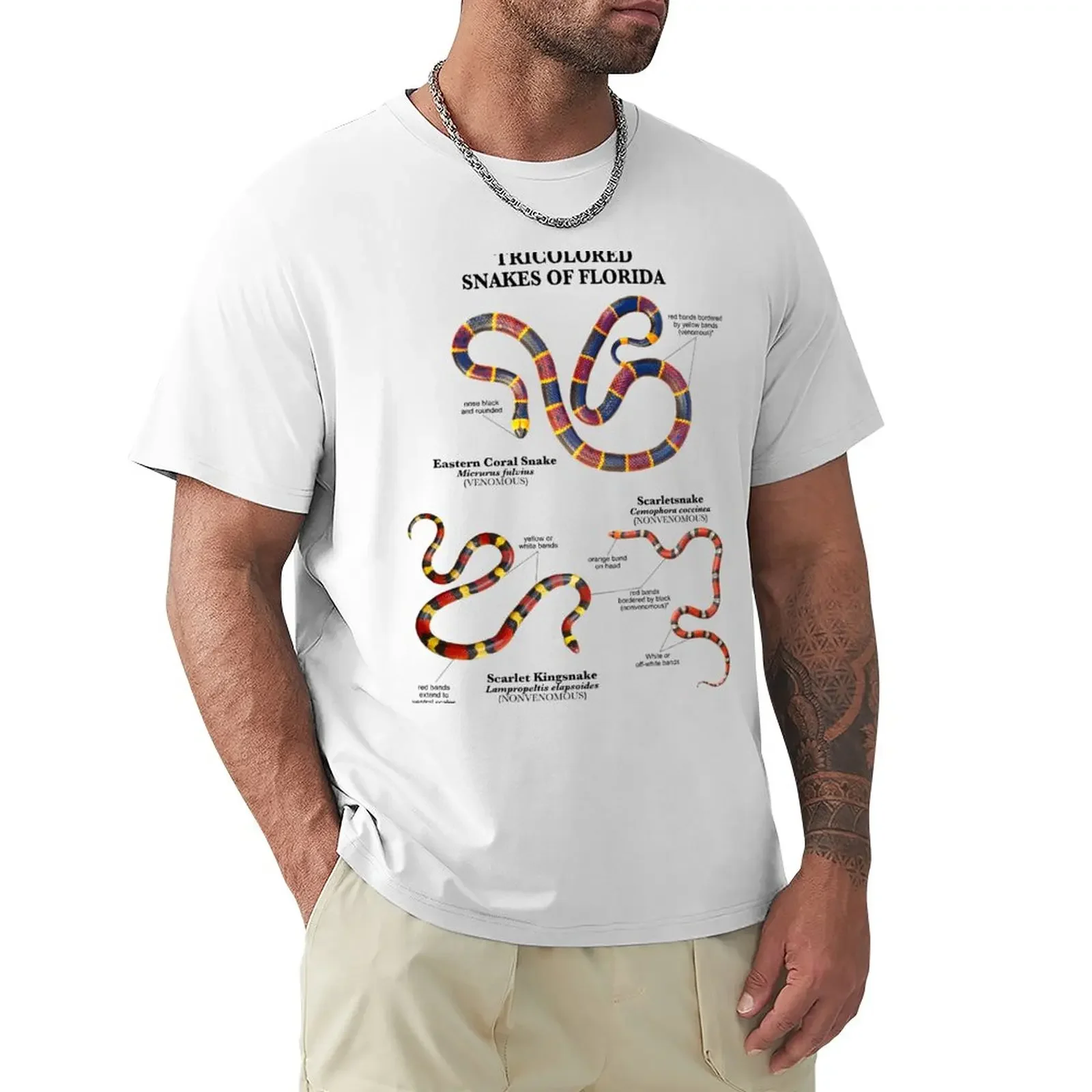 Tricolored Snakes of Florida T-Shirt blacks kawaii clothes plain white t shirts men