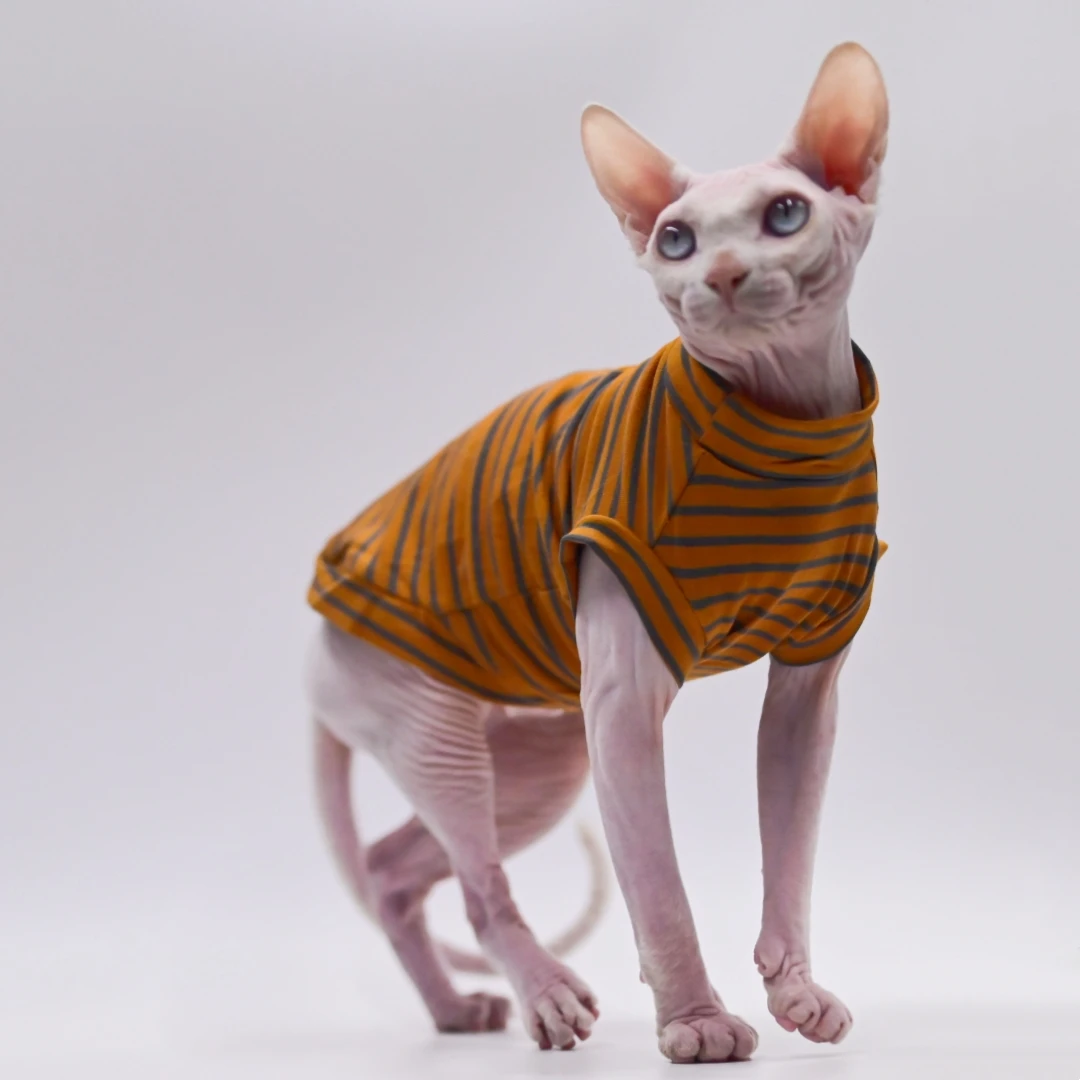 Haarlose Katzenkleidung, atmungsaktive Baumwolle, Sommer, dünne Katzenweste für Sphynx, Devon Rex, Cornish, kleine Katzen und Hunde