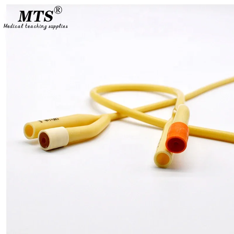 Disposable Medical Consumables Latex Foley Catheter with 2 way silicone coated Sterile with CE