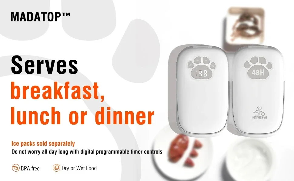 automatic cat feeder wet food