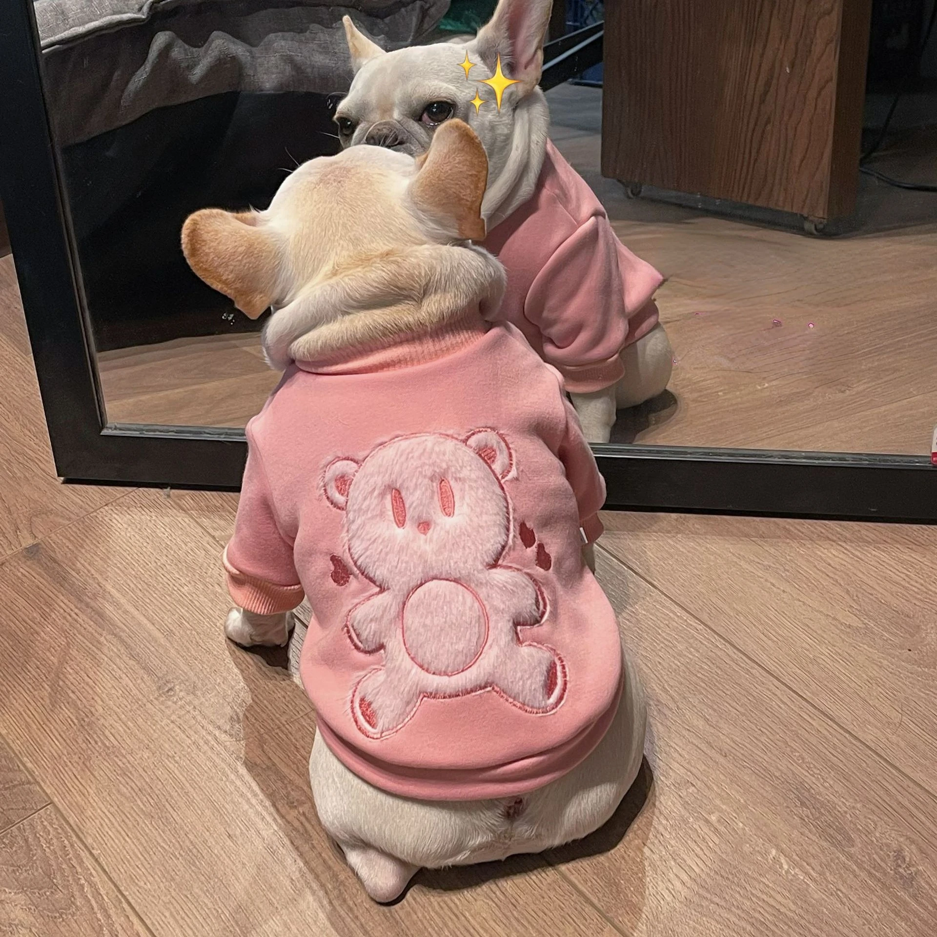 Plush Clothes for Dogs and Cats, Pink Guards, Fadou, Schnauzer, Teddy Bears, Autumn and Winter, New Fashion, 2023