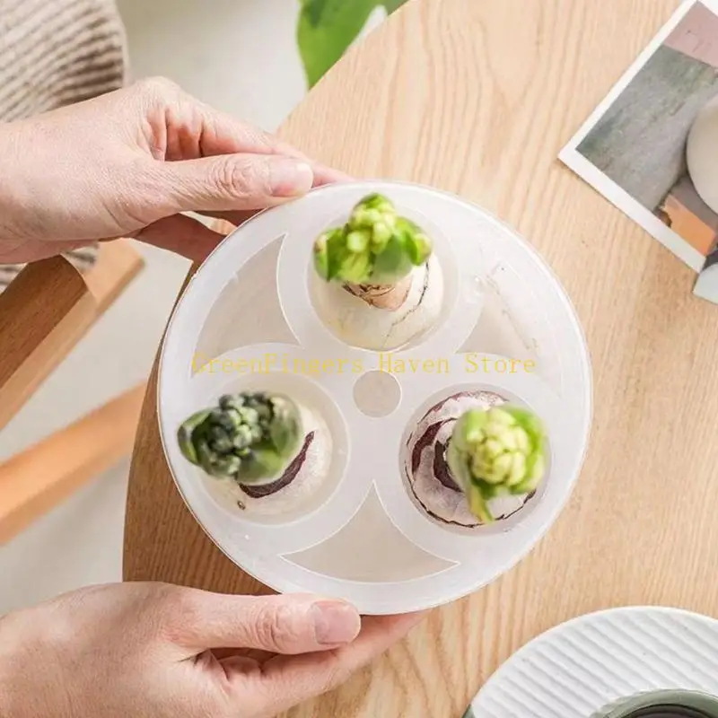 F68D 3 Compartment Hydroponic Planter Plastic Hydroponic Flowerpot With Built in Storage Container For Growing Hyacinths
