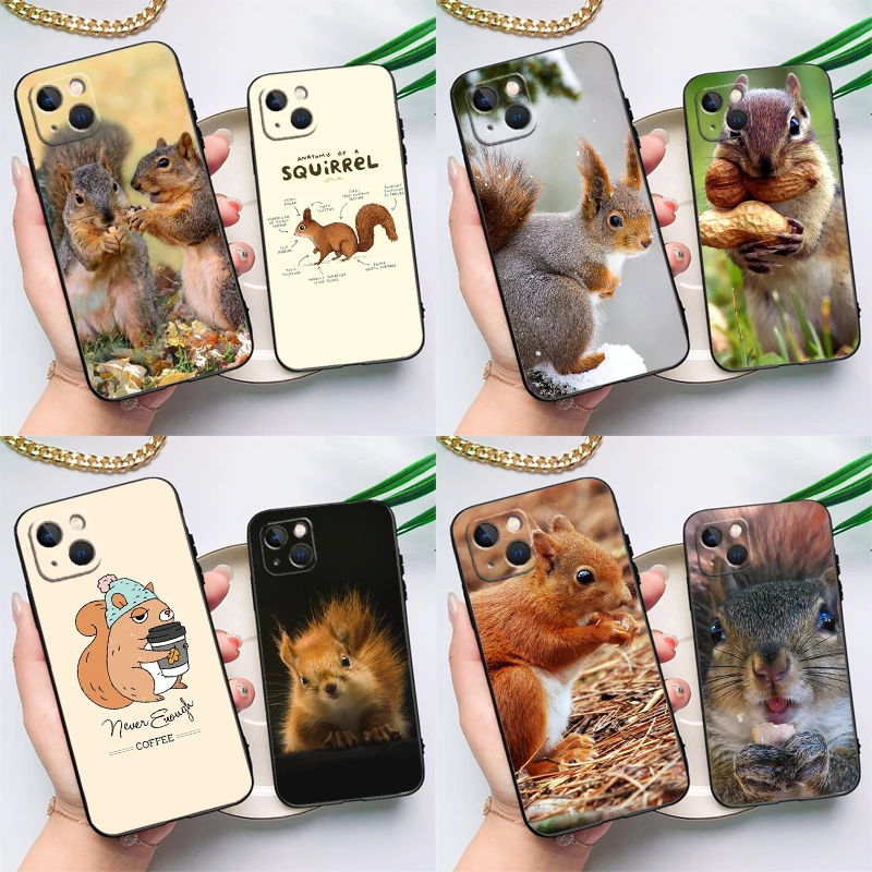 Squirrel Cute Animals Case For Samsung Galaxy A13 A33 A53 A26 A16 A36 A56 A15 A35 A55 A14 A34 A54 A12 A32 A52 A17