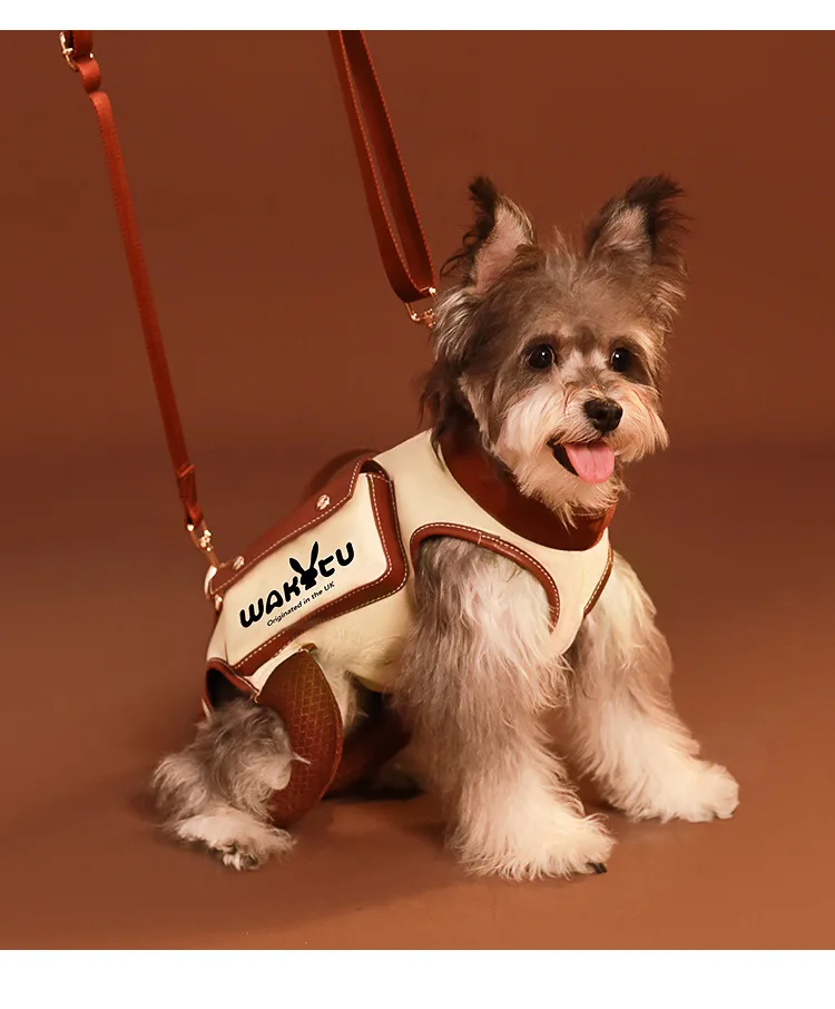 sacs-de-transport-pour-chiens-sacs-a-dos-portables-pour-chats-accessoires-de-voyage-pour-animaux-de-compagnie-produits-de-voyage-confortables-sac-de-voyage-au-design-de-dessin-anime-tractable
