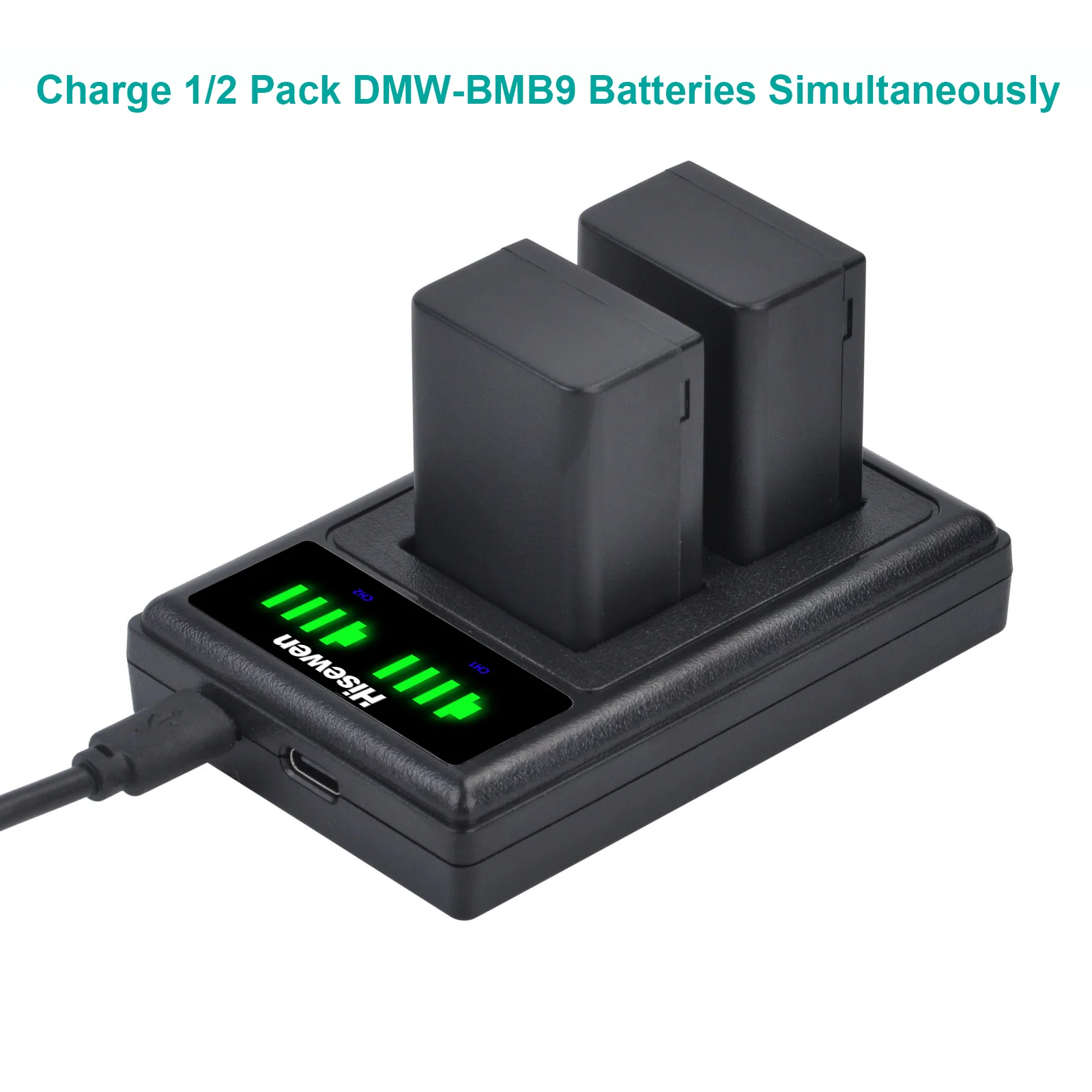 uminum 1200mAh DWM-BMB9 DMW-BMB9E + ładowarka LED do Panasonic Lumix DMC FZ40K FZ45K FZ47K FZ48K FZ60K FZ62 FZ72 FZ80 FZ100K FZ82