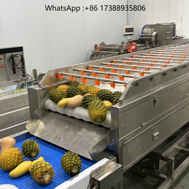 Commercial Fruit Roller Brush Washer Machine 1-3T/H Melon Pineapple Apple Mango Orange Washing Line for Factory Use