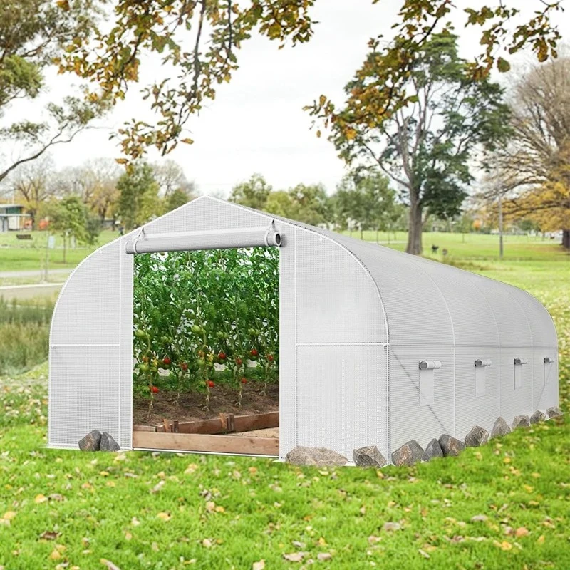 

2025Agricultural and Farm Poly Tunnel Green House Plastic Film Cultivation Shed Tomato Greenhouse for Vegetables